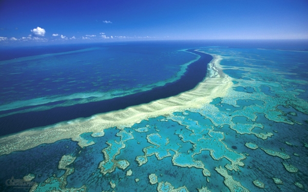 Great Barrier- rặng san hô lớn nhất thế giới ở Đông Bắc nước Úc - dịch vụ làm visa Úc